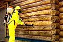 Как спасти деревянный дом от плесени – эффективные средства ухода
